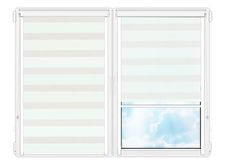 Рулонные кассетные шторы День Ночь реджина 12 цена. Купить в «Мастерская Жалюзи»